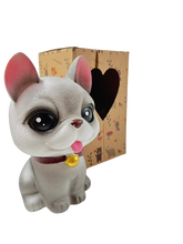 Lve Pusculita Copii Catelus 77-6 48/bax